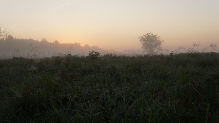 colorful summer morning with golden light and fog between hills