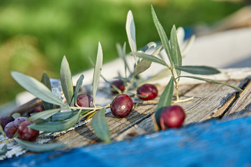 ripe violet olives with leaves on the wooden background