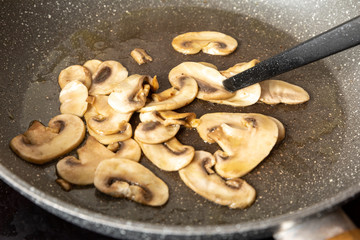 Funghi