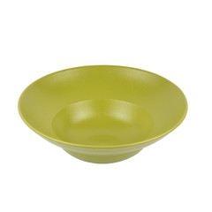 colored plate isolated porcelain