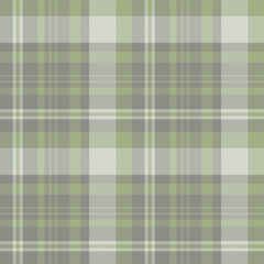 Seamless pattern in great discreet gray and swamp green  colors for plaid, fabric, textile, clothes, tablecloth and other things. Vector image.