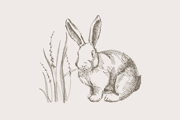 Cute hand-drawn white rabbit with first spring flowers on a light isolated background. Symbol of happy easter. White hare wild forest beast. Vintage vector illustration.