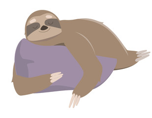 Sloth sleeping on pillow. Vector illustration in cartoon style isolated on white background.