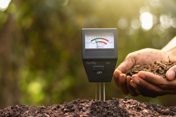 Soil meter is used on loam for planting. - obrazy, fototapety, plakaty