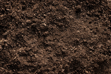 Soil texture background, Fertile loam soil suitable for planting.