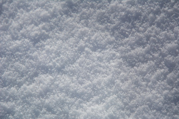 Fototapeta premium Neige blanche fraiche et pure