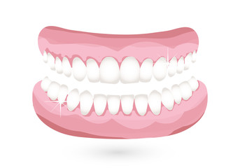 strahlendes Gebiss mit blitzsauberen Zähnen