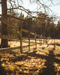 Countryside fence