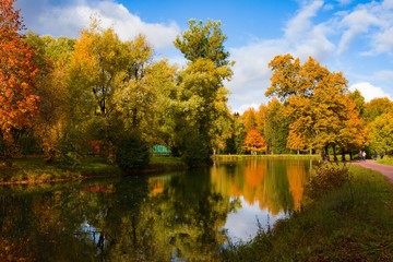 Fototapeta premium Autumn foliage in Pavlovsky park, Pavlovsk, Saint Petersburg, Russia. Autumn park with pon