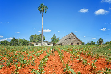 cuba