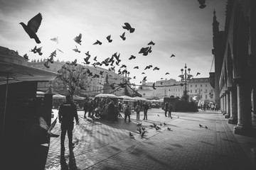 Market Square, Cracow Old Town, Poland - obrazy, fototapety, plakaty