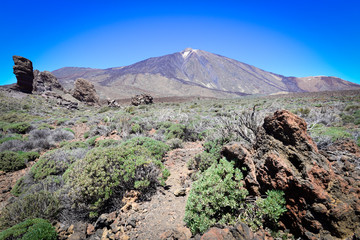 Pico del Teide con la famosa formazione rocciosa di Roque Cinchado, Tenerife, Isole Canarie, Spagna