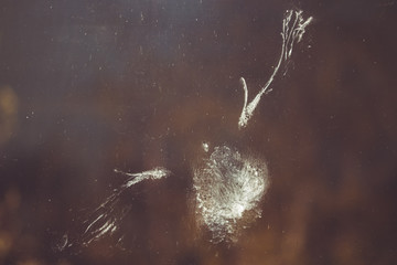 The impression of a pigeon bird's body, wings and feathers in powder down dust on a window after impact or collision
