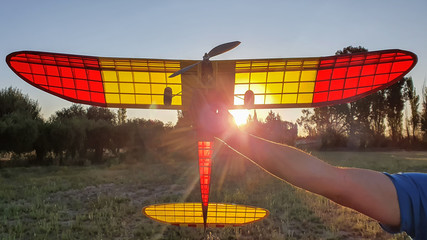 old radio controlled guard plane