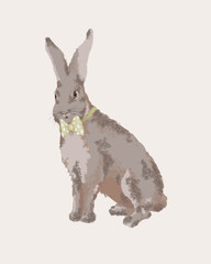 Gentleman rabbit wearing a green bow tie. Realistic drawing of an elegant rabbit that wears a bowtie. 