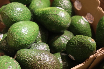 Pile of Green Avacados in grocery store 