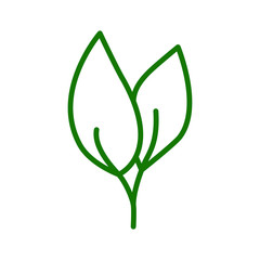 leaf icon collection, trendy style