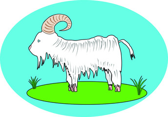 Hand drawn vector cartoon goat on green grass on oval blue background. Ideally suits for goat farms goat diary products. Can be placed on logo. Goat milk & diary products concept.