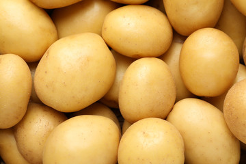 Young potato on whole background, close up