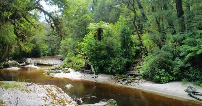 4k Forward ascending high angle view of river in the Kahurangi National Park at Oparara Basin, west Coast, South Island,New Zealand