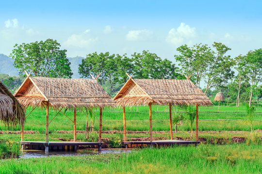 The resting huts constructed from bamboo and thatched roofs for relaxing in the rice fields.