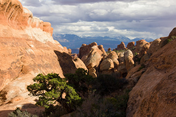 Fototapeta premium The desert countryside of Arches NP with rock formations.