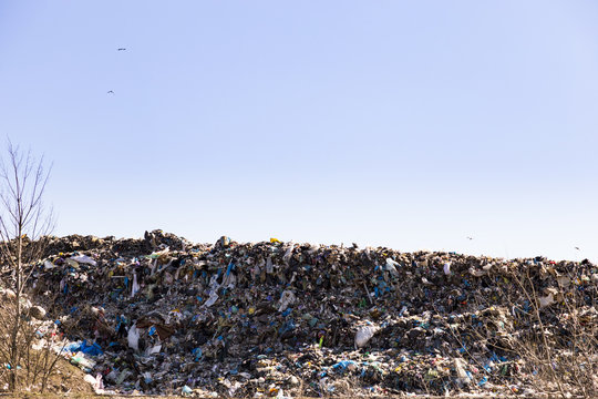 114 BESTE "Gelbe Tonne" BILDER, STOCK-FOTOS & -VEKTORGRAFIKEN | Adobe Stock