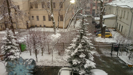 View from the window of a snowy courtyard with cars and a Christmas tree in fluffy white snow