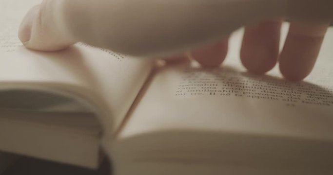 Light effects in a sunny day