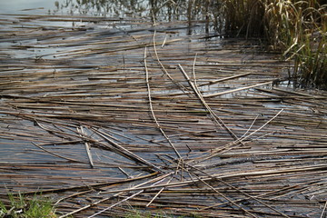 Floating dry cut reeds tubes 