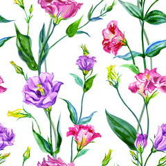 Seamless pattern of eustoma flowers on a white background, watercolor illustration, decorative floral print for fabric and other designs.