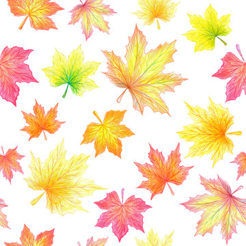 Maple leaves with colored pencils on white background. Seamless pattern. Isolated on white background.. Multicolor: red, orange, yellow, green. Color pencils texture.