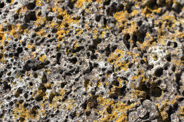 Stones with unusual shapes and textures