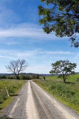 road in the countryside