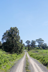 road in rural Australia