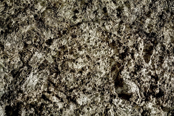 Abstract background of porous stone. Foam cured solid texture. Rocky soil