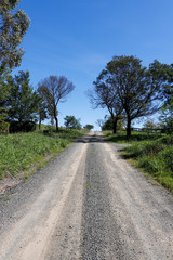 Fototapeta na wymiar empty country road Australia New South Wales