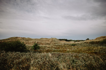 Wide grass dune landscape, Amrum, Germany