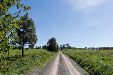 Fototapeta na wymiar Australian road in the countryside 