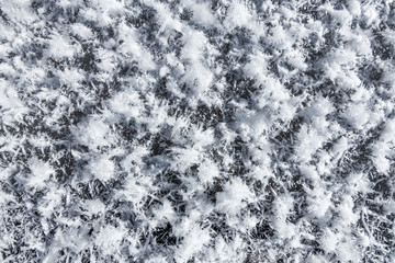 Hoarfrost on the ice of a lake in winter.