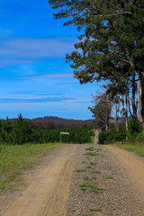 Fototapeta na wymiar road in countryside Southern Highlands New South Wales Australia