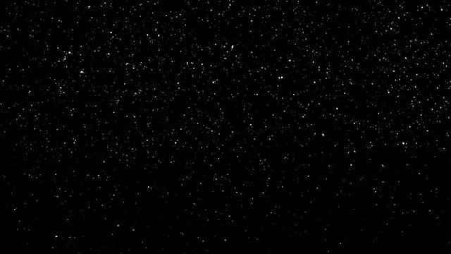 Natural Organic Dust Particles Floating On Black Background. Dynamic Dust Particles Randomly Float In Space With Slow Motion. Shimmering Glittering Particles With Bokeh. Real Colored Particles In Air.
