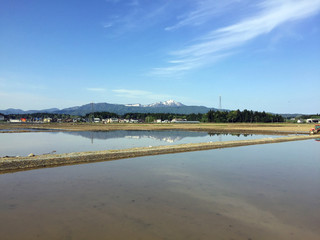 米山と水田