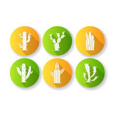 Cactuses flat design long shadow glyph icons set. American desert plants with fleshy trunks. Family Cactaceae. Prickly succulents. Arid area thorny wildflowers. Silhouette RGB color illustration