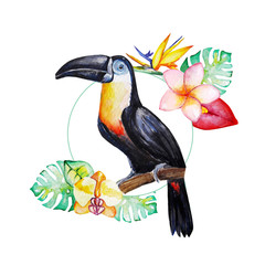 Beautiful, toucan, watercolor, art, illustration