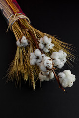 Natural Dry Cotton Branch in glass vase with wheat ears on black background.