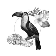 Beautiful, toucan, watercolor, art, illustration © NATALIIA TOSUN