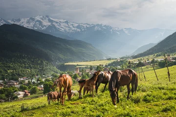 Fotobehang Mestia town surrounded by Caucasus mountain in Svaneti reion, Georgia © skazzjy