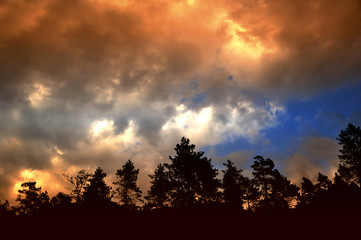 dramatic sky with clouds in the forest