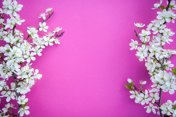 A branch of plum blossoms on a bright pink background